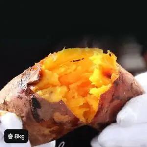 [NS홈쇼핑]26년 특등급 해남 꿀고구마 4kg+4kg (총 8kg)[35755256]