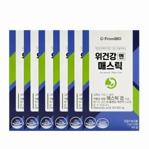 프롬바이오 위건강엔 매스틱 3g x 15포 6개