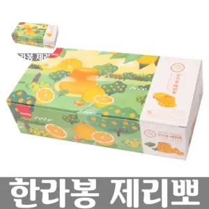 햇살 바람을 제주 1박스 담은 제리뽀 한라봉 기념품