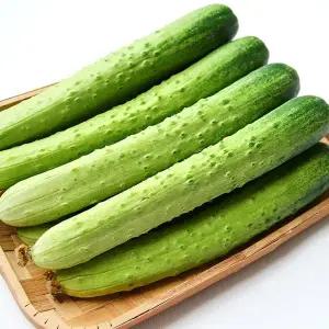 국내산 백오이 백다다기 오이 특품 10kg