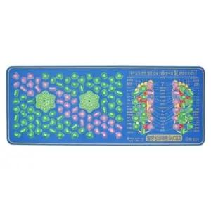 발지압판 헬스원 웰빙 주방싱크매트 - 발지압매트 WSM-100A