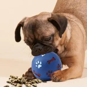 [하프클럽/셀러허브(펫)]쥬쥬 강아지 간식 장난감공 분리불안해소 노즈워크공