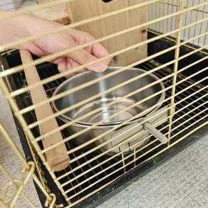 [하프클럽/셀러허브(펫)]걸이형 스텐 앵무새 모이통 대 앵무새물통 앵무새목욕