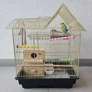 [하프클럽/셀러허브(펫)]앵무새 발톱 부리갈이 횟대 소 앵무새횟대 앵무새용품