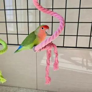 [하프클럽/셀러허브(펫)]앵무새 놀이터 와이어 로프 횟대 1m 앵무새횟대 로프횃대