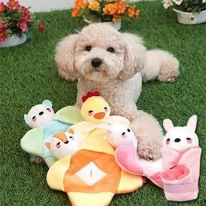 [하프클럽/셀러허브(펫)]강아지 장난감 애견 노즈워크 토이 간식 놀이 랜덤