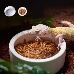 물그릇 파충류 도자기 식기 사파리