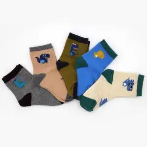 아동 남아 귀여운 공룡 배색 양말 5켤레 세트 유아 어린이 사계절 스포츠 가을 겨울