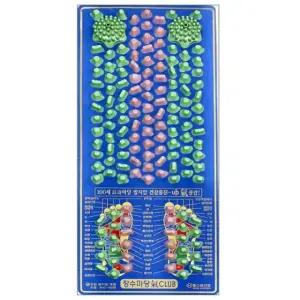 [지압] 헬스원 지압매트 FGC-5500(L)