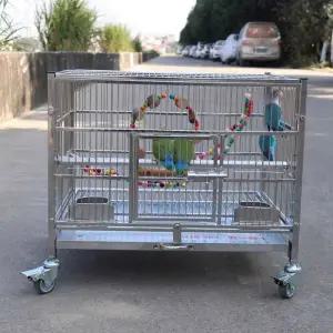 대형 새장 앵무새 케이지 버드 사육 날림장 놀이터