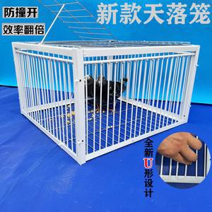 비둘기 포획기 틀 철망 까치 케이지 덫 트랩 울타리