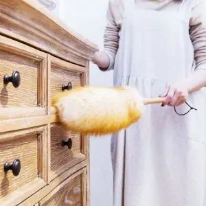 청소 털 제거 떨이 기 집 개 안 먼지청소기 집에먼지 먼지 정전기