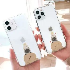 아칸 솜송 가족사진 방탄케이스