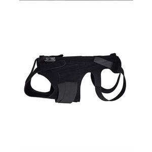 허리보호대 디스크 노견