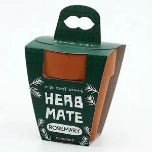 화분 베란다 키우기 식물 반려 실내 화초