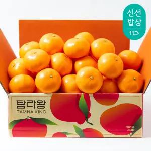 [탐라왕] 고당도 제주 천혜향 4kg