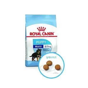 [로얄캐닌] 맥시 퍼피 (주니어) 10kg