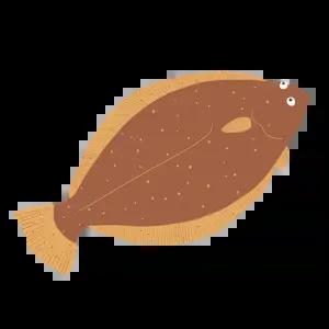 자연산 선어 생물 광어회/450g 내외