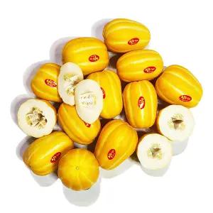 [아침이슬사과] 성주 꿀 참외 실속 혼합과 2kg