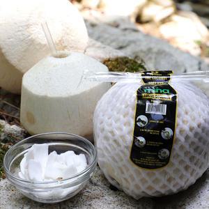 영코코넛 개당 판매(원하는 수량만큼 담으세요.) 코코넛 야자