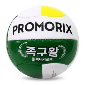프로모릭스 족구공 4호볼 족구왕 4호볼 연습용 레저용 동호회