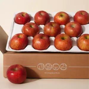 과일도감 부사 빨간사과 정품 못난이 가정용 흠 2kg 2.5kg