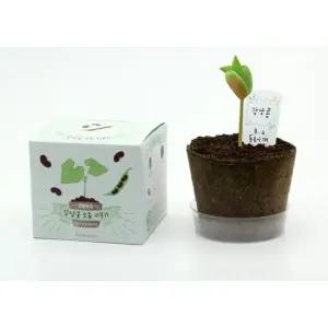 N 팜팜농장 강낭콩