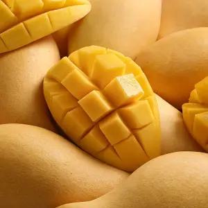 썬리지 프리미엄 고당도 골드망고 2kg 4kg