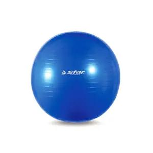 짐볼 블루 55cm/마사지볼/필라테스용품/밸런스볼/요가볼/요가공/필라테스공/운동공/필라테스볼/운동볼/요가