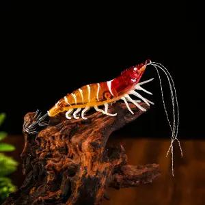 리얼 새우에기 쭈꾸미 갑오징어 채비 닭세우 고추장 수박 래틀 야광 수평에기 쭈갑낚시