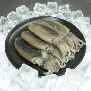 바로굽고 갑오징어 1kg 손질 오징어 냉동 급냉 국내산