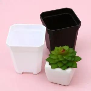 화분 미니 식물 다육이 식목일 스틱 원예 모종심기 플라 슬릿 꽃심기 7X8cm