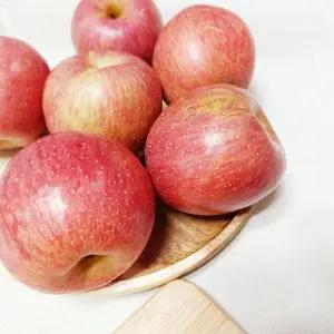 경북 햇 부사사과 가정용 A급 꿀 사과 대과 5kg 12~16과