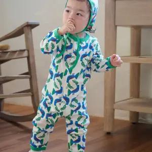 블루버드 로빈롬퍼