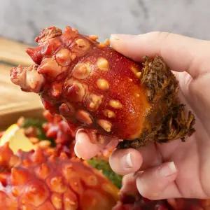 통영 제철 당일채취 활멍게 2kg (14-18미 내외) 외 3kg /GJ