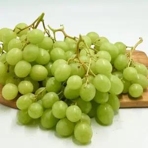 고당도 애플 청포도 오톰크리스피 2kg