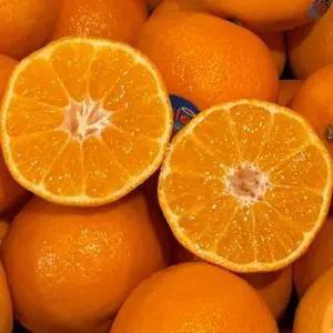 캘리포니아 고당도 만다린 귤 5kg