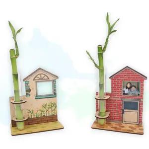 4인용 우리집 개운죽 화분만들기 가족사진 초등 중등 식물기르기 식목일 어린이집 DIY