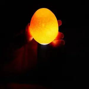 LED 검란기 부화기 유정란 확인 조류 계란