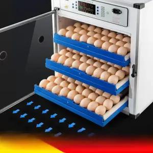 병아리육추기 병아리 계란 달걀 곰 부화기 닭 알