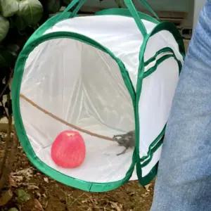 접이식 곤충망 휴대용 채집통 관찰망 나비 사육장 야외 벌레 애벌레 교육용 관찰용 나비장 관찰통 이동장