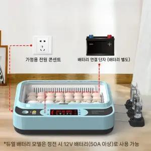 자동 계란 부화기 인큐베이터 소형 조류 인공 사육장