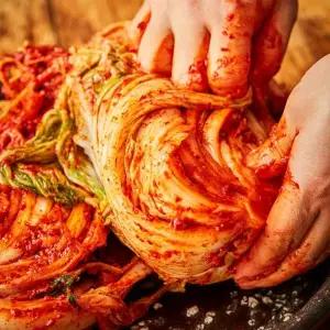 전라도 불김치 실비 포기김치 3kg