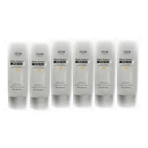 [셀러허브][영양친구] 애터미 선크림 베이지 60ml 6개 (S33258209)