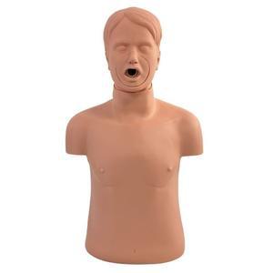 간호실습 마네킹 더미 모형 상반신 시뮬레이션 시뮬레이터 비강위관 훈련 기관 간호실습모형
