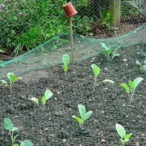 ( )참새그물 그물망 방조망 RD-11972 새 보호 2x10m 그물 농작물 새그물망