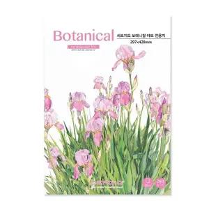 세르지오 IJ02QL11 보태니컬아트 패드 260G 1면제본 A3 20매