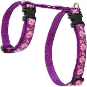 루핀펫 오리지널 1/2인치 로즈 가든 12-20인치 소형 반려동물용 H 스타일 하네스