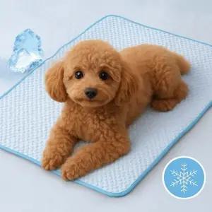 온모어 고양이 강아지 쿨 매트 냉감 패드 방석 애견 쿨링 아이스 반려견 여름 고양이쿨매트 반려동물 강아
