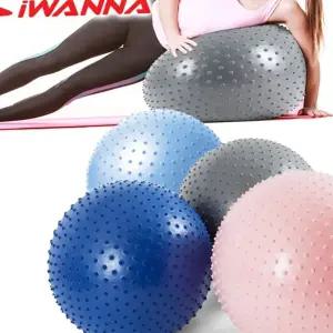 R61 i워너 마사지 짐볼 65cm 펌프포함 임의색상 짐볼